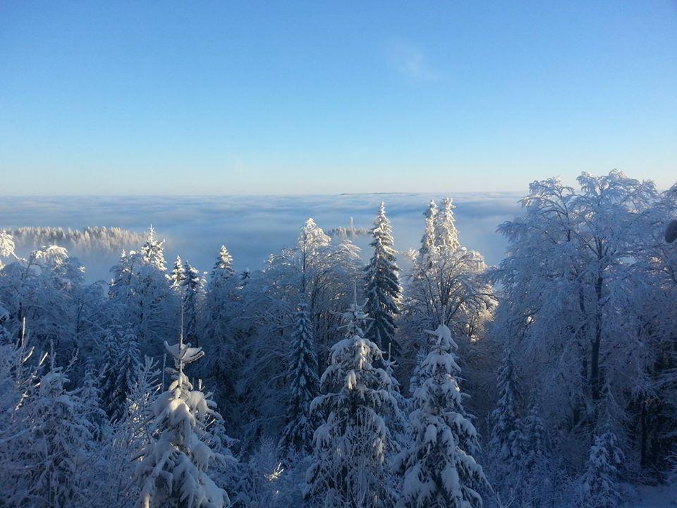 Chalet Baluma Maluba Jahorina Zewnętrze zdjęcie